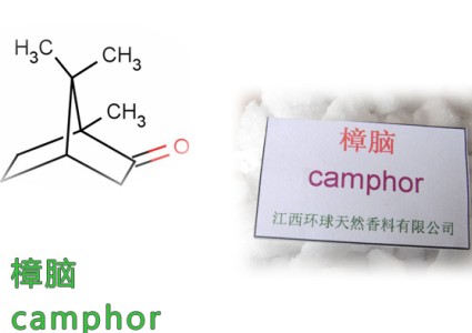 Medicinal Synthetic Camphor Powder,CAS 464-49-,Camphor Powder