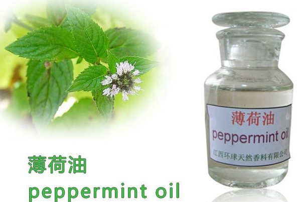 Pure Natural Organic Peppermint Oil,Mentha arvensis oil,Natural Mint oil,CAS 8006-90-4,Peppermint Oil