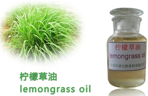 Pure Lemongrass Oil,Lemongrass essential oil,CAS 8007-02-1,Lemongrass Oil