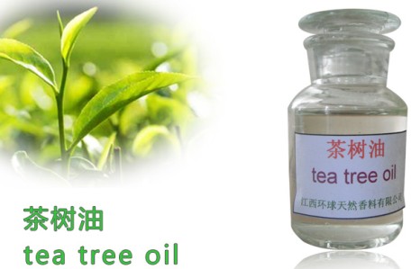 100% Pure And Natural Tea Tree Oil Supplier,Melaleuca alternifolia Oil,68647-73-4,Tea Tree Oi
