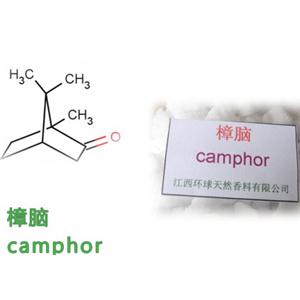 Medicinal Synthetic Camphor Powder,CAS 464-49-