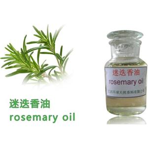 Pure Natural Rosemary Oil,Rosemary Essential Oil,Rosmarinus officinalis,CAS 8000-25-7