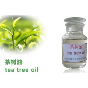 100% Pure And Natural Tea Tree Oil Supplier,Melaleuca alternifolia Oil,68647-73-4
