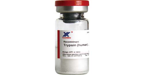 Recombinant Human Trypsin,Recombinant Human Trypsin