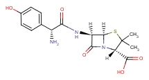 阿莫西林,Amoxicillin