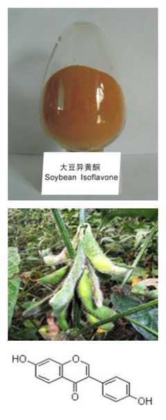 大豆提取物,Soybean extract