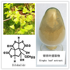 银杏提取物,Gingko Biloba extract