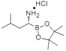 (R)-1-氨基-3-甲基丁烷-1-硼酸频那醇酯盐酸盐