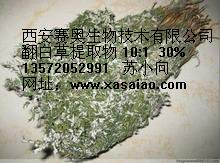 翻白草提取物 30%  40%