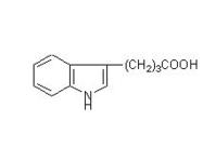 吲哚丁酸生產(chǎn) 吲哚丁酸廠家 吲哚丁酸原料藥