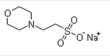 MES-Na 2-嗎啉乙磺酸鈉鹽; 生物緩沖劑 專業(yè)生產(chǎn),MES sodium salt