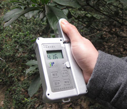 葉綠素檢測儀分析植物光合作用的速率