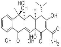 供應cas64-75-5;1170-81-6鹽酸四環(huán)素