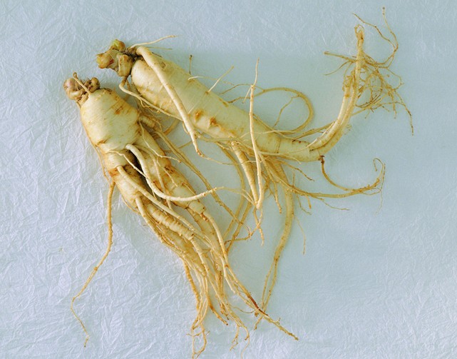 人参提取物,Panax Ginseng Extract