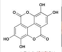 鞣花酸,Ellagic aci