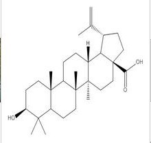 白桦脂酸 98%,Betulinic aci