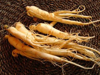 西洋參總皂甙,American ginseng P.E