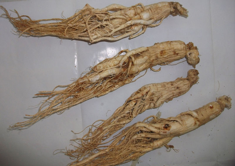 人参提取物,Ginseng extrac