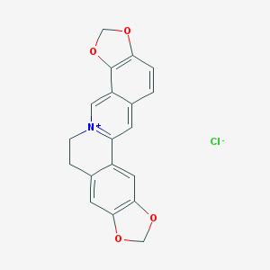 盐酸黄连碱,Coptisine Hcl