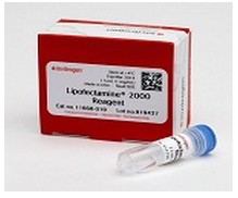 Lipofectamien@2000脂质体2000,Lipofectamine2000