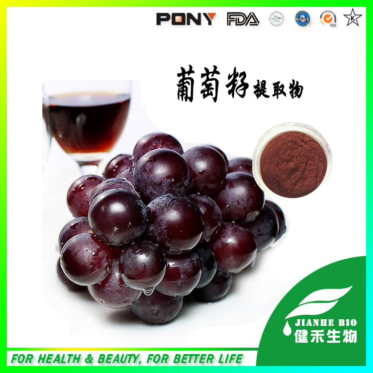 葡萄籽提取物,Grape Seed Extract