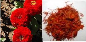 红花提取物,Safflower Extract