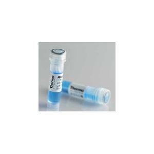 大腸桿菌O157:H7單克隆抗