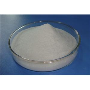 Testosterone phenylpropionate