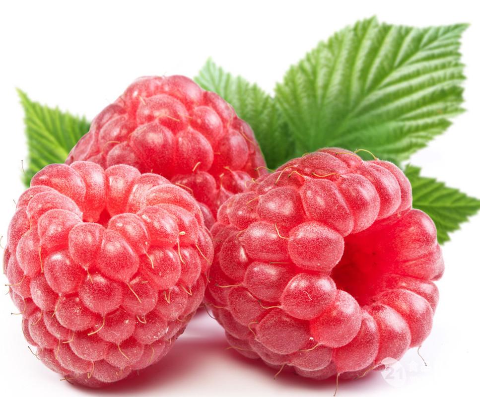 覆盆子提取物,Raspberry extract