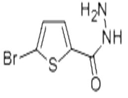5-溴噻吩-2-甲酰肼