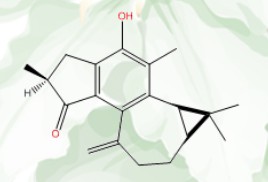 麻枫树酚酮B,Jatropholone B