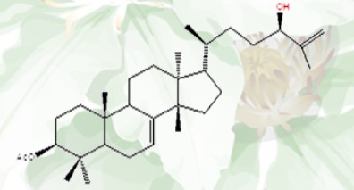 3β-乙酰氧基-7,25-甘遂二烯-24(R)-醇,3β-acetoxy-eupha- 7,25-dien-24(R)-ol