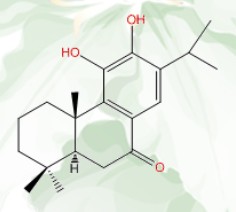 11-羟基柳杉酚,11-hydroxy-sugiol