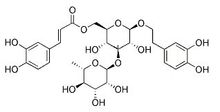 异毛蕊花糖苷  异类叶升麻苷,Isoacteoside
