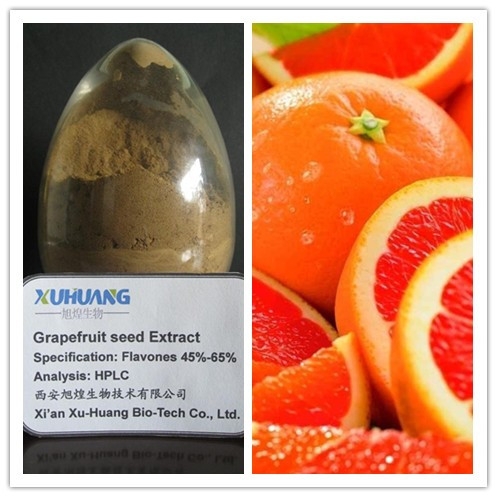 廠家大量供應(yīng)葡萄柚提取物,Grapefruit Seed Extrac