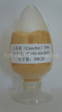 长期供应茶叶提取物儿茶素 30%-80%,Catechins
