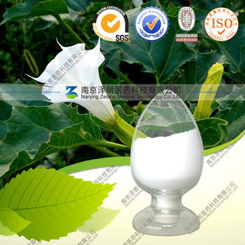 CAS号：114-49-8氢溴酸东莨菪碱,Scopolamine Hydrobromide