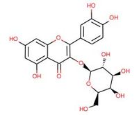 金丝桃苷≥98%天然优质植物提取厂家直销,Hyperoside