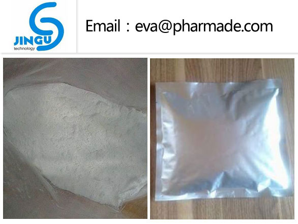 Nandrolone Phenpropionate China steroid powder,Nandrolone Phenpropionat