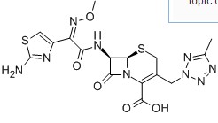 头孢特伦酸,Cefteram acid