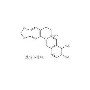 供应盐酸小檗碱CAS号：633-65-8