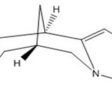 专业供应金雀花碱CAS号：485-35-8,Cytisine