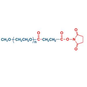 mPEG-SS 单甲氧基聚乙二醇琥珀酰亚胺琥珀酸酯/聚乙二醇单甲醚琥珀酰亚胺琥珀酸酯