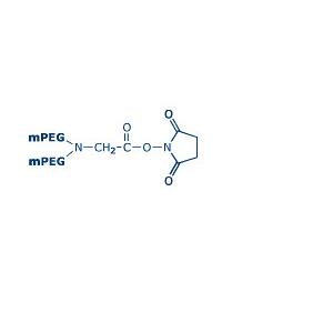 Y-NHS Y型甲氧基聚乙二醇琥珀酰亚胺羧酸酯