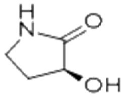 (S)-3-羟基-2-吡咯烷酮