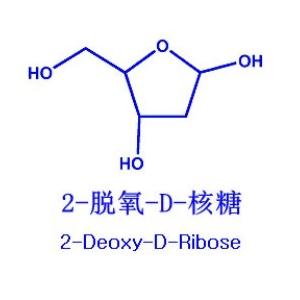 厂家现货 2-脱氧-D-核糖