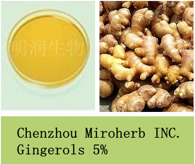姜辣素5%生姜提取物10%,Gingerols；Ginger Root Extract Powder