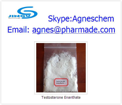 Testosterone Enanthate,Testosterone Enanthate