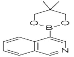 异喹啉-4-硼酸-2,2-二甲基丙二醇-1,3环酯