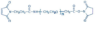 MAL-PEG-NHS 马来酰亚胺-聚乙二醇-琥珀酰亚胺酯,MAL-PEG-NHS Maleimide-PEG-Succinimidyl